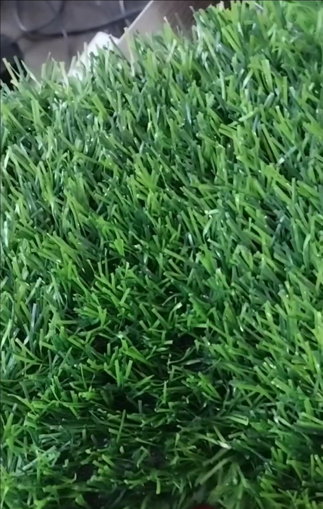 چمن مصنوعی سرو ۲۵ میل